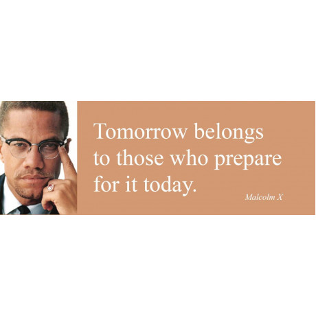 Magnet/Malcolm X